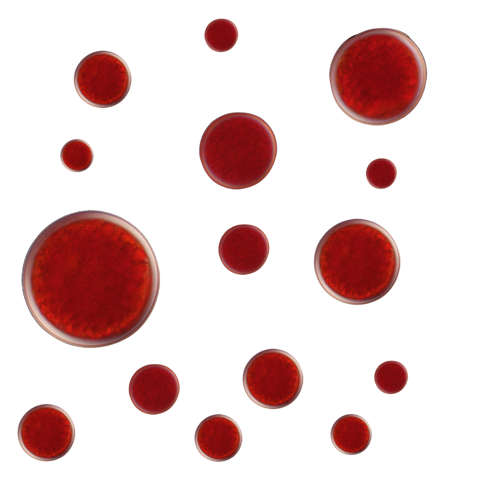 What is Astaxanthin?