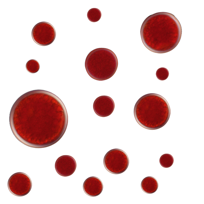 What is Astaxanthin?