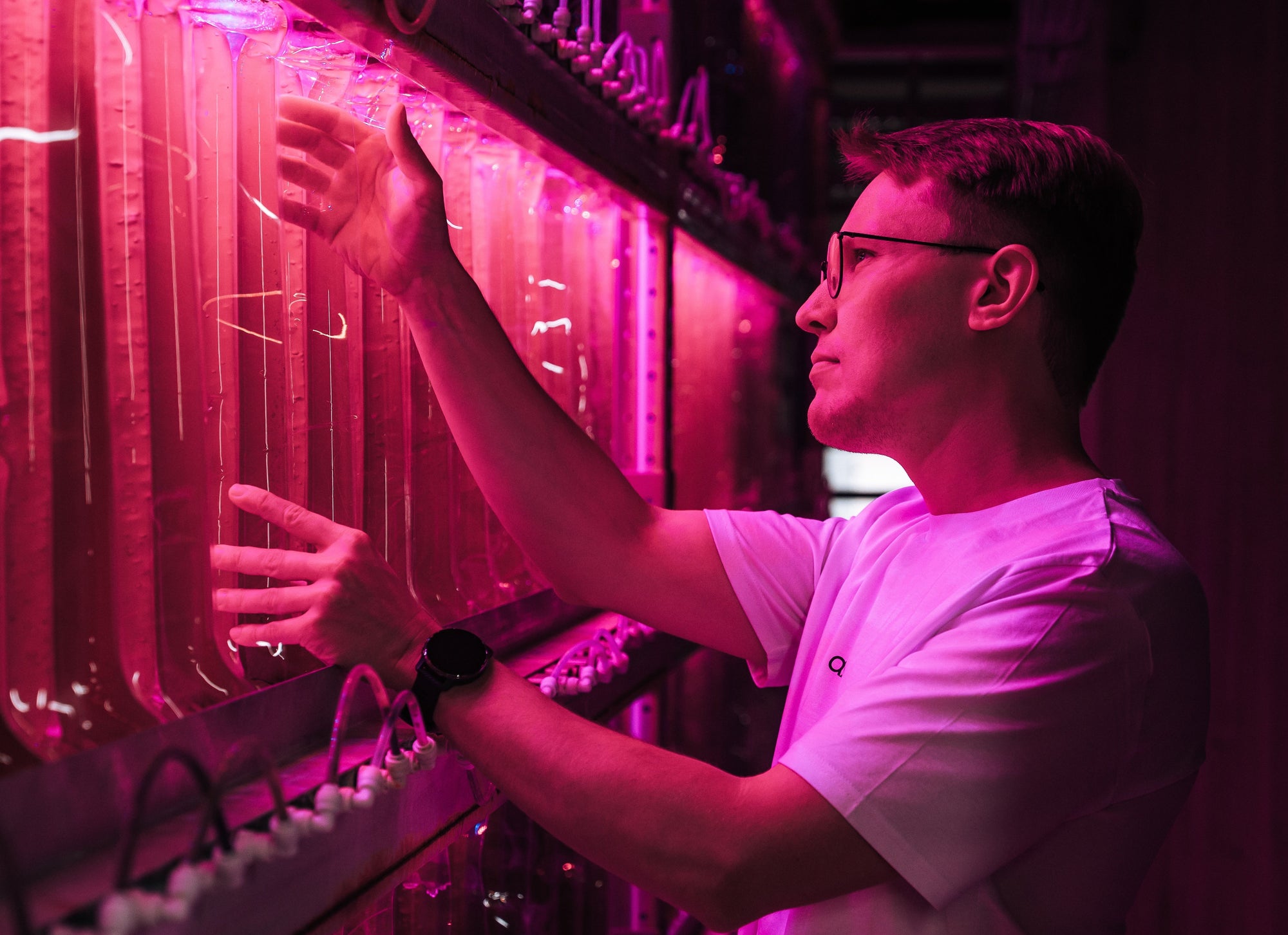 Natural vs. Synthetic Astaxanthin: Which Is Better and Why?