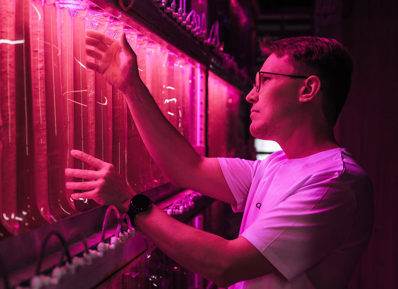 Natural vs. Synthetic Astaxanthin: Which Is Better and Why?