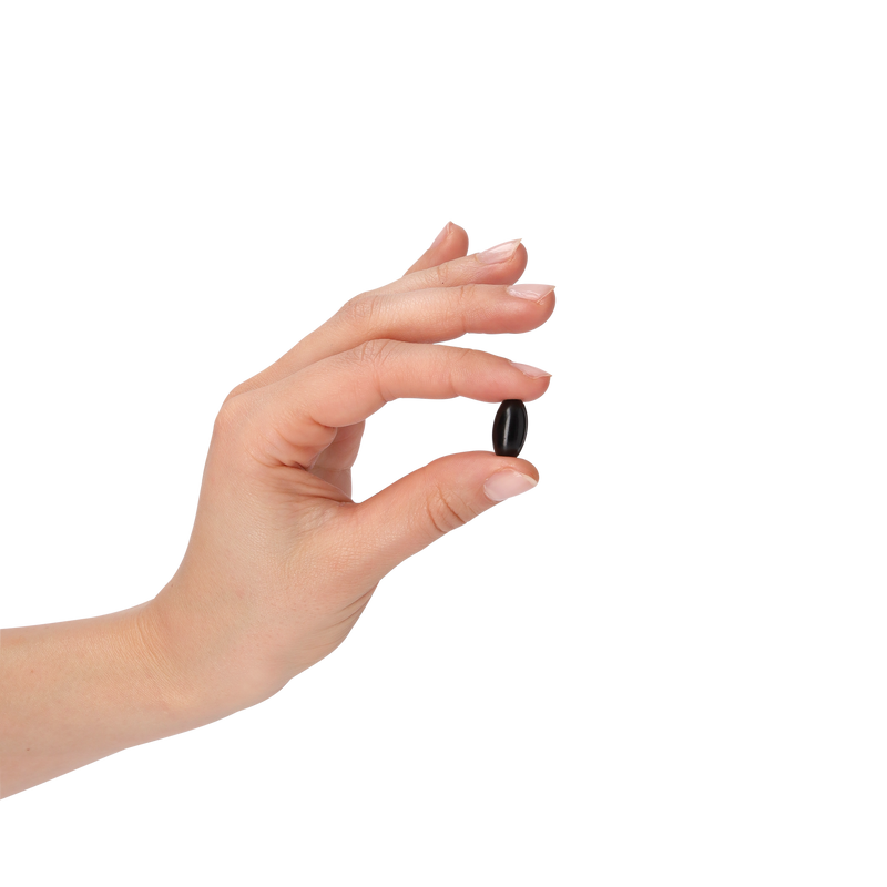 A hand holding a small, dark, oval-shaped supplement capsule against a solid white background.